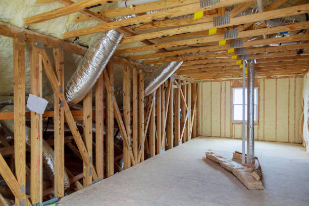 Best Eco-Friendly Insulation in Spartanburg, SC