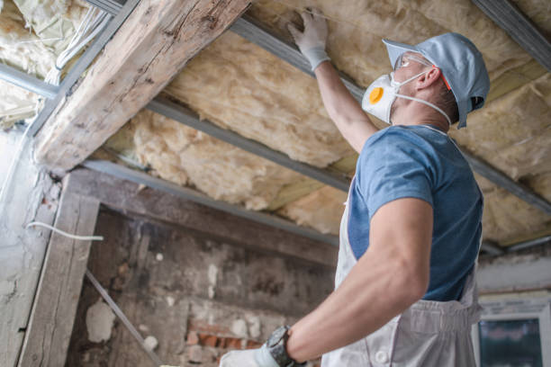 Types of Insulation We Offer in Spartanburg, SC